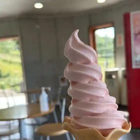 バラの城　フローラ