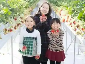 Yama Warau Sato
