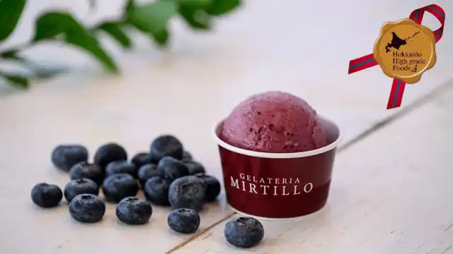 MIRTILLO