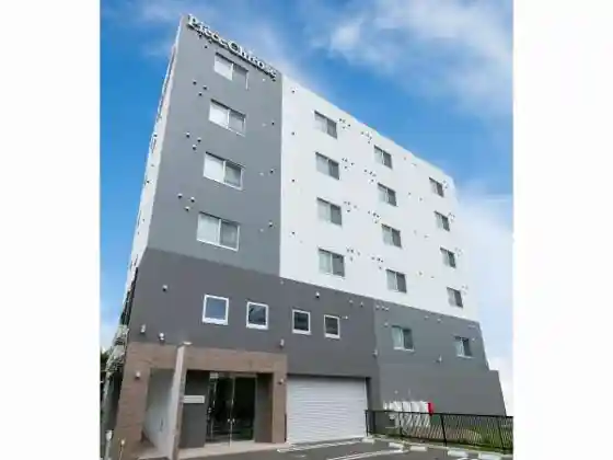 Pies Chitose S4
