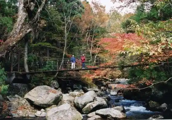 Roshin Kei