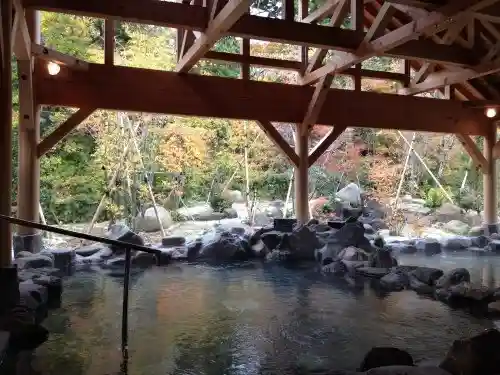 Daisen Hi no Kami Gaku Onsen Go En Yu In