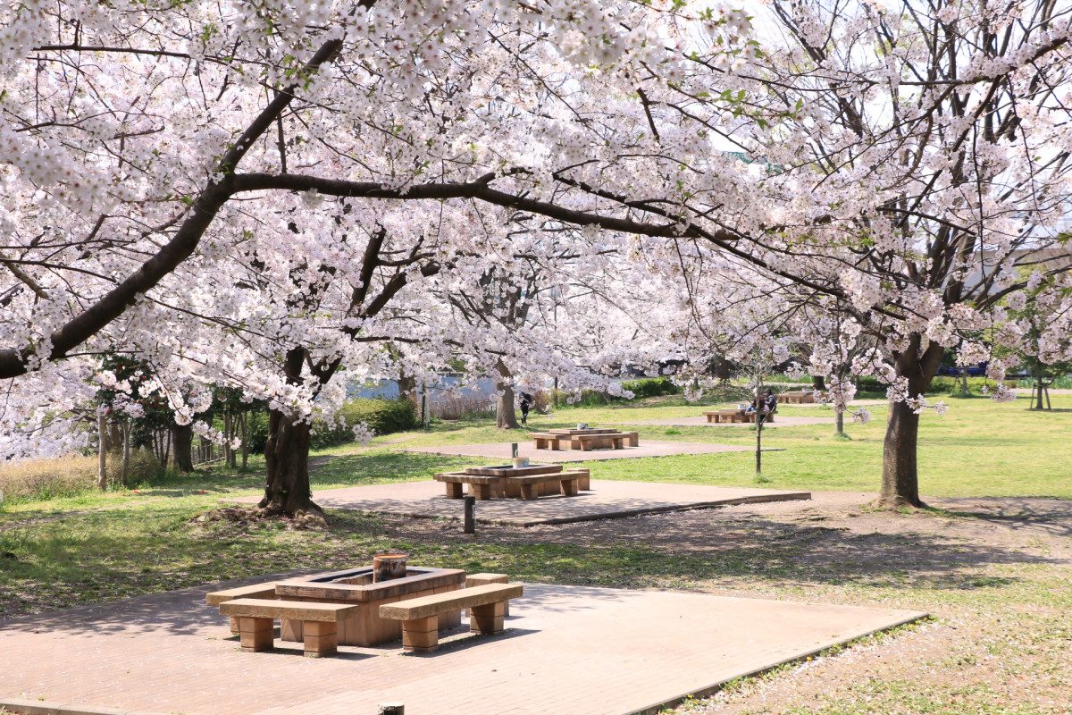 Ebina Sports Park