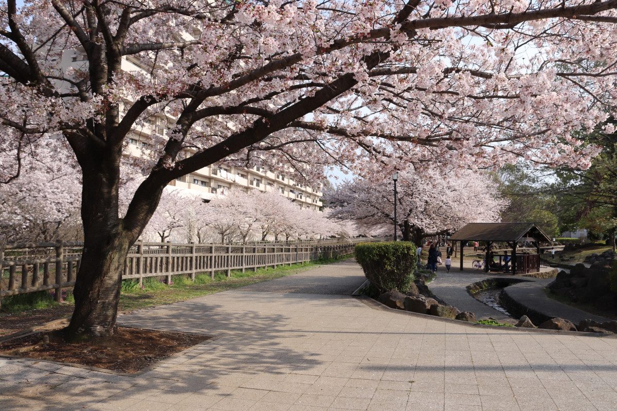 Northern Park