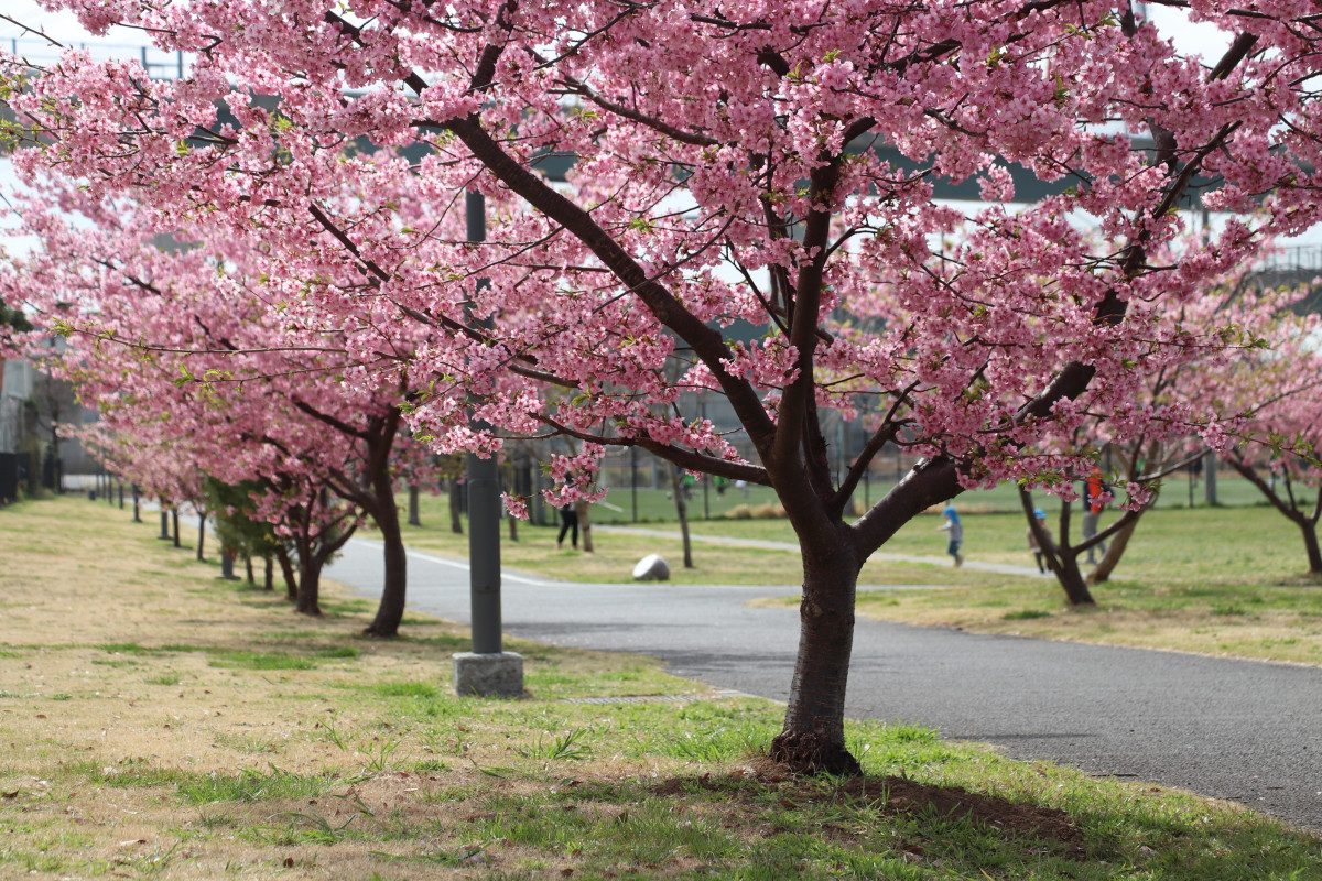 Nakano Park