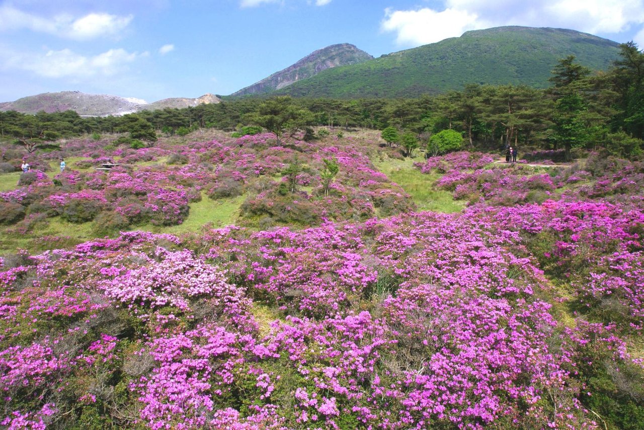 Ebino Plateau