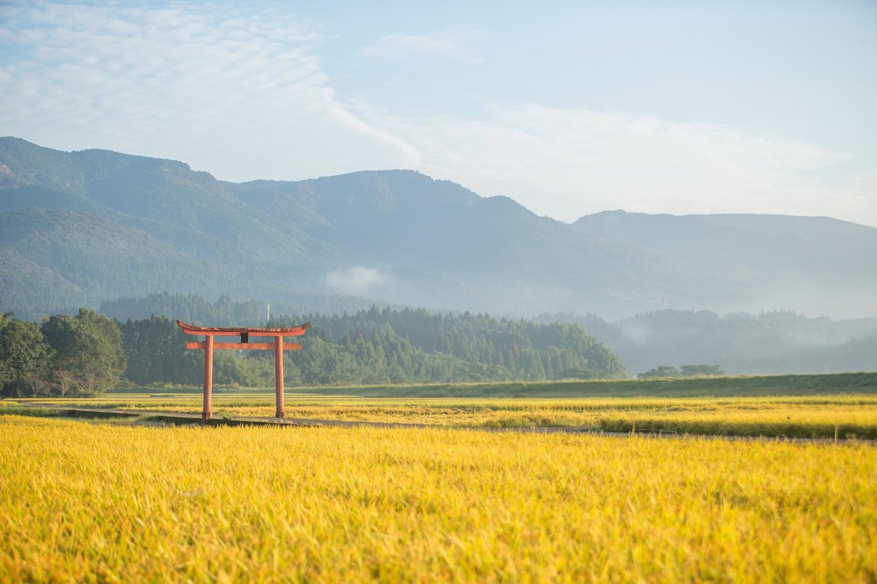 Sugawara Shrine (Nishikawakita and Tsuru)