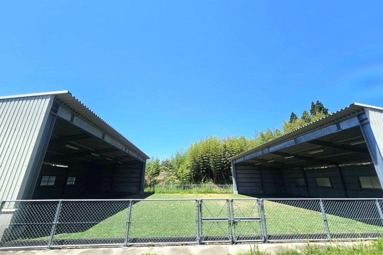 Ojibaru Sports Park Pitching Practice Field