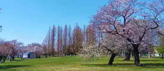 Shinozaki Park