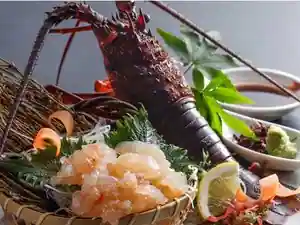 Kame Ke Ike Onsen Kame No Yu Bettei