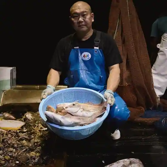虹吉