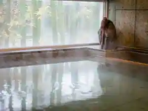 Tennen Onsen Iyo no Yu Super Hotel Niihama