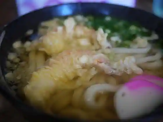 Rocket Udon