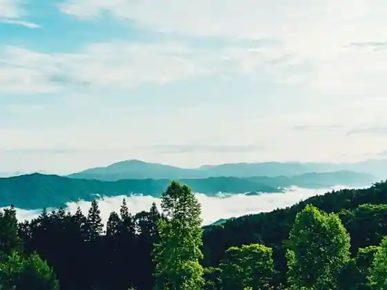 LUONTE Kiri no Kogen Glamping