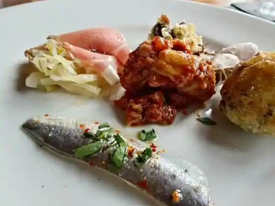 Pettirosso