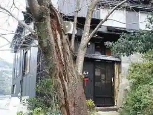 Chidori no So