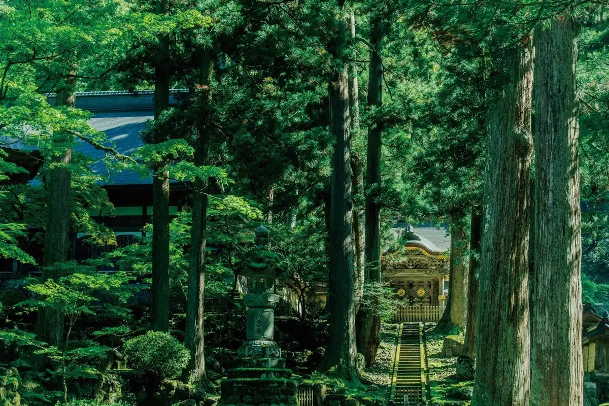 Omoto Yama Eiheiji