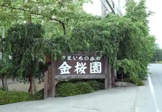 Kai Ichi no Miya Kanazakura Sono