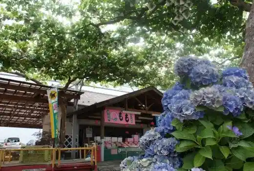 Akao Tourist Farm