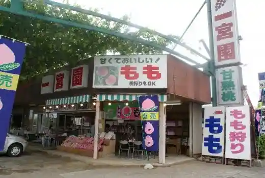 Ichinomiya Sono
