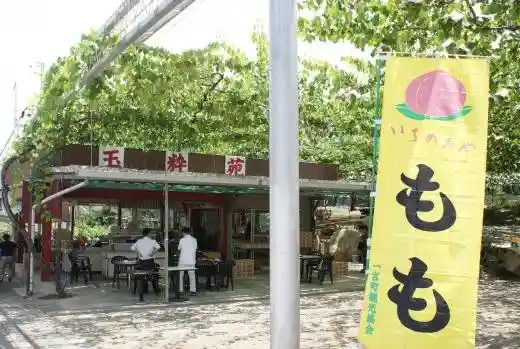 Tama Sui En