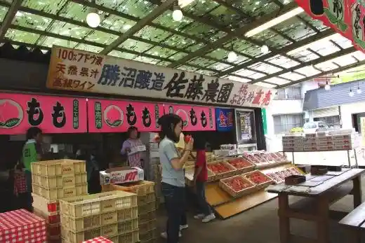 Sato Farm