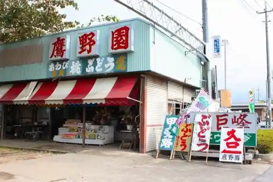 Takano-en Orchard