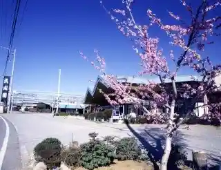 Sengen Orchard