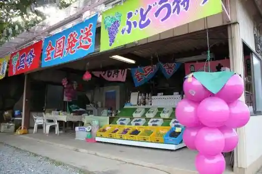 Onjuku Orchard