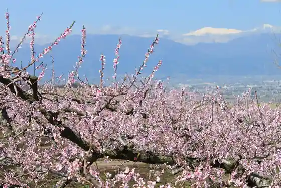 Fuefuki Togenkyo (Fuefuki Yatsushiro Town)