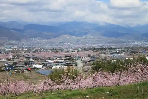 Fuefuki Peach Paradise