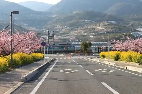 Fuefuki Peach Paradise