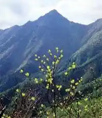 Mount Shakagatake