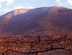 Mount Daizokyoji