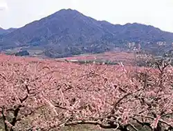 Mount Otochi