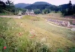 Firefly Village