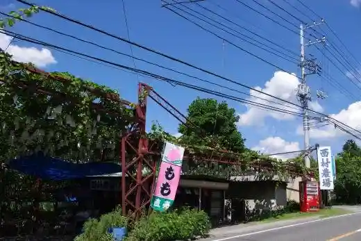 Nishimura Farm