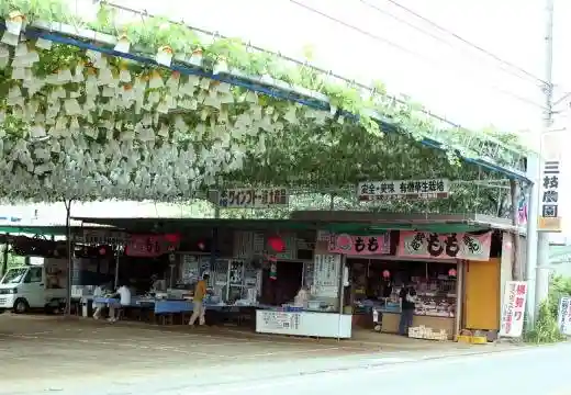 Saigusa Farm