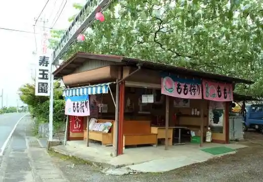 Sugyoku Orchard