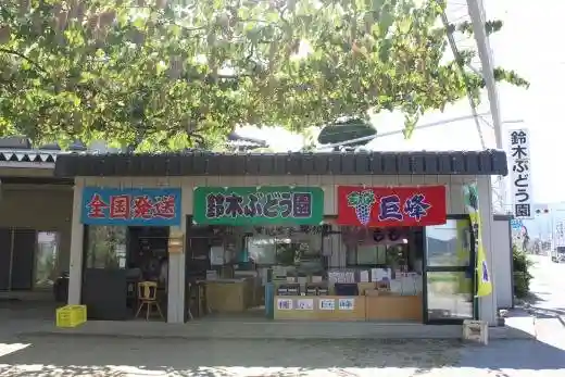 Suzuki Grape Orchard