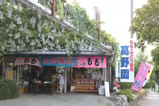 Takano Orchard
