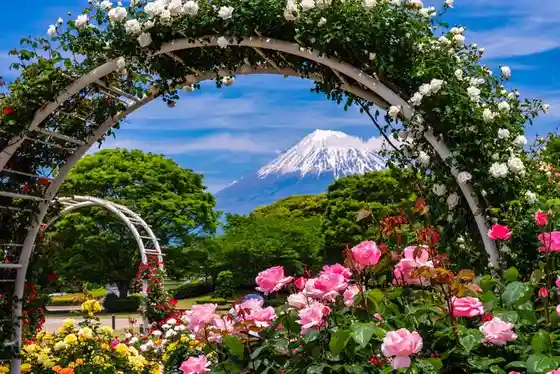 Chuo Park