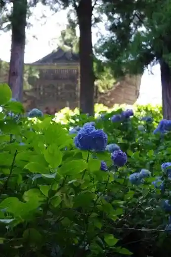 Myoho-ji Temple