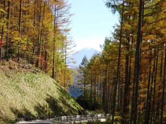 Maruyama Forest Road