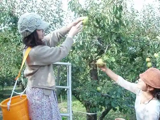 Akiyama Tourist Farm
