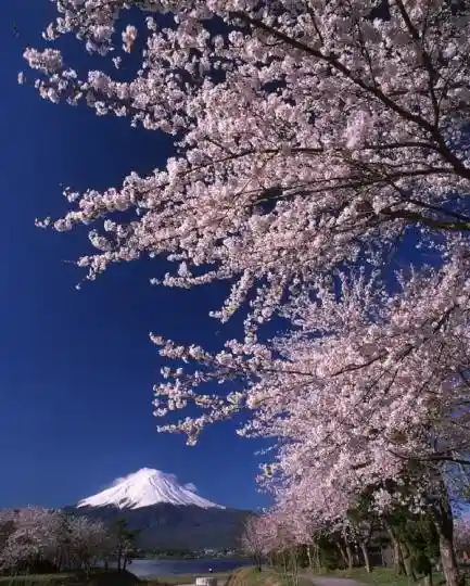 Lake Kawaguchi Circular Hall
