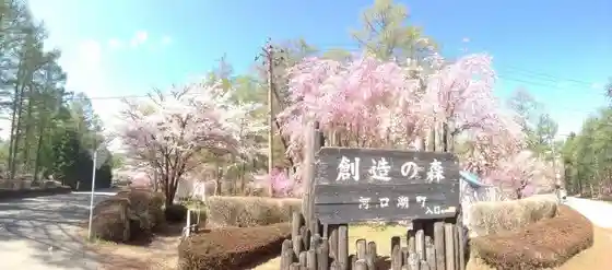 Lake Kawaguchi Creation Forest