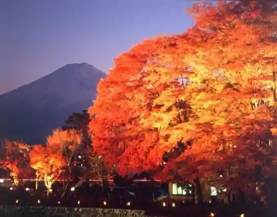 Maple Corridor