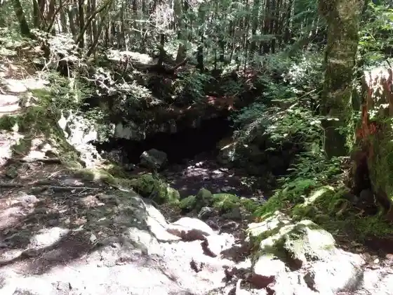 Fuji Wind Cave