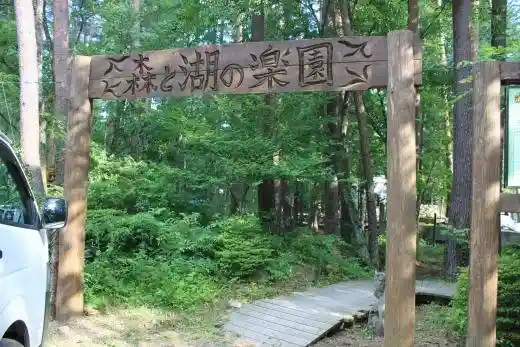 Forest and Lake Paradise